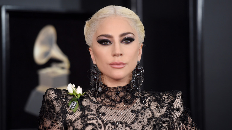 Lady Gaga poses on the red carpet