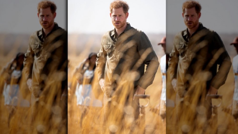 PrinceHarry during tree-planting ceremony in Africa