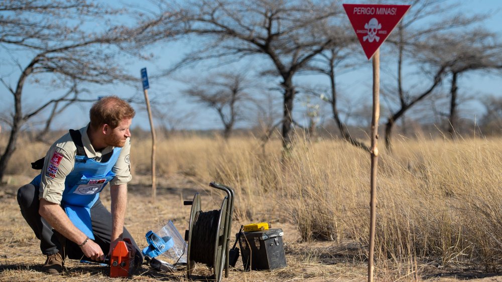 Prince Harry clearing mines in Africa