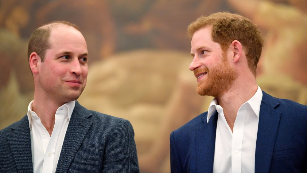 Prince Harry and Prince William