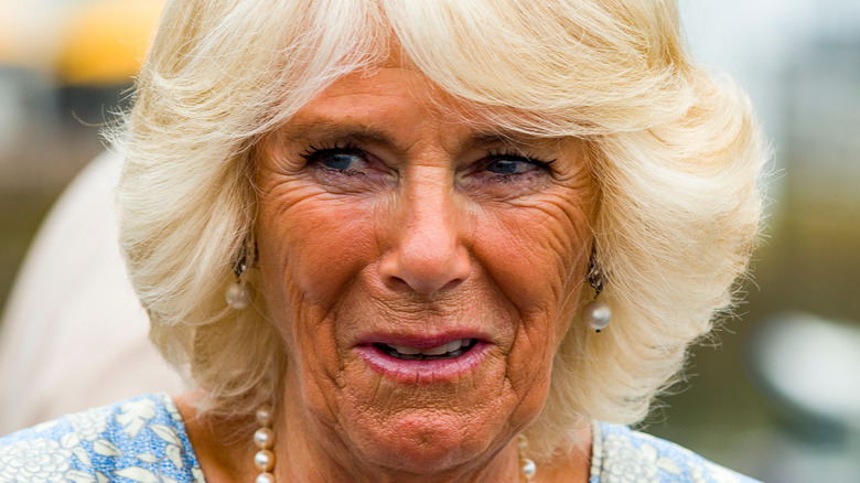 Camilla Parker Bowles smiling