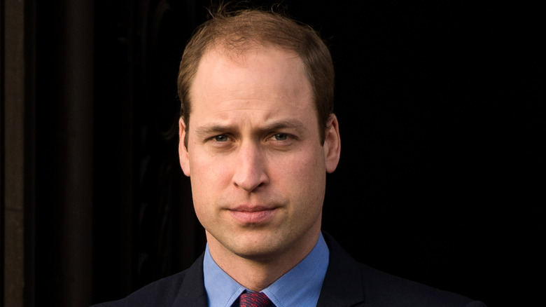 Prince William portrait 