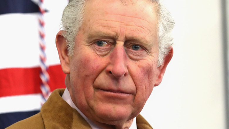 King Charles posing in 2018 