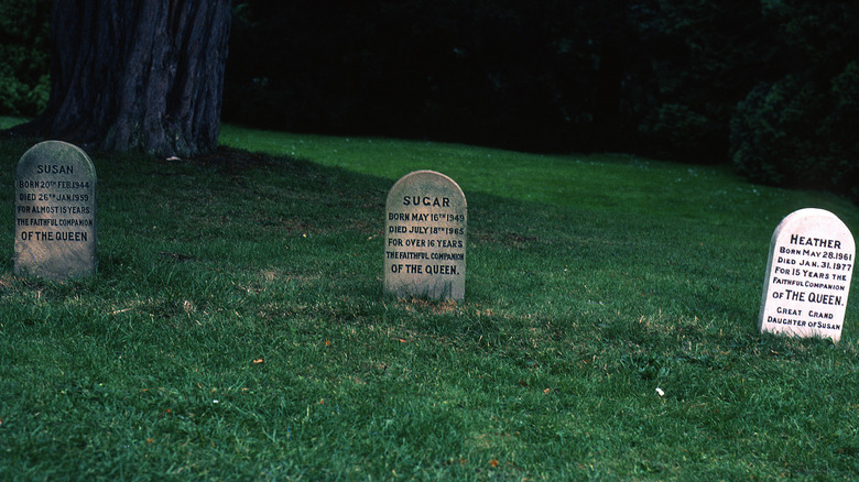 The graves of royal corgis