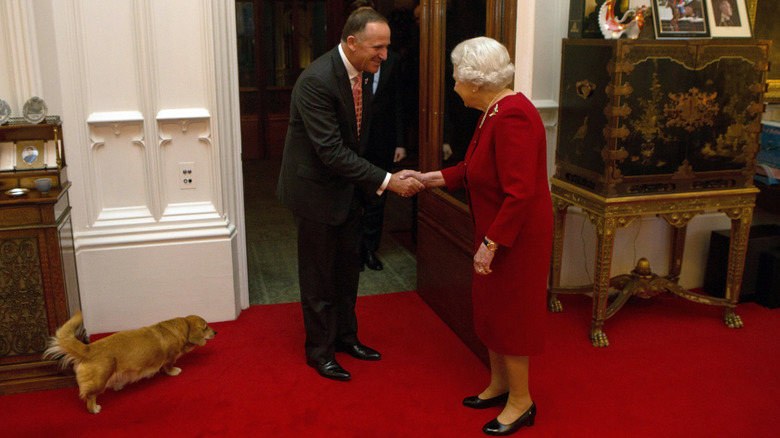 Corgi looking at prime minister, Queen Elizabeth