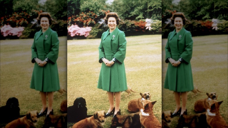 Queen Elizabeth with corgis, smiling