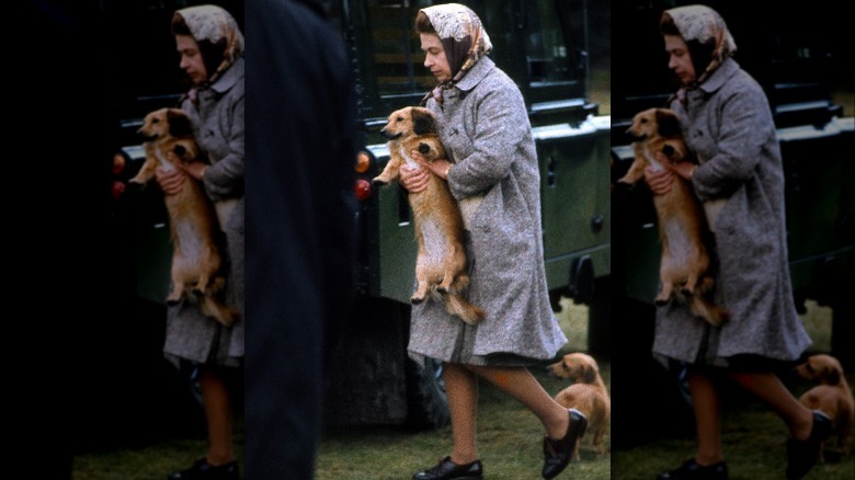 The queen carrying a corgi