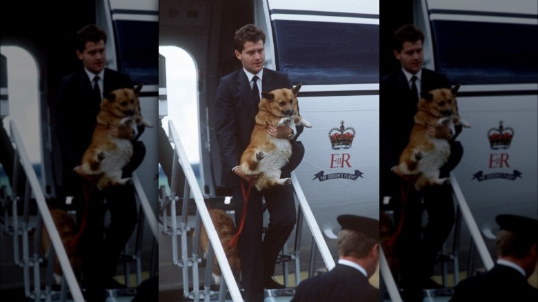 Corgi escorted off royal plane