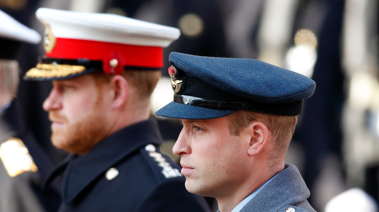 Prince Harry and Prince William wearing military attire