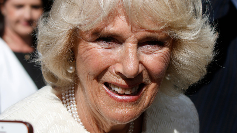 Camilla, Queen Consort