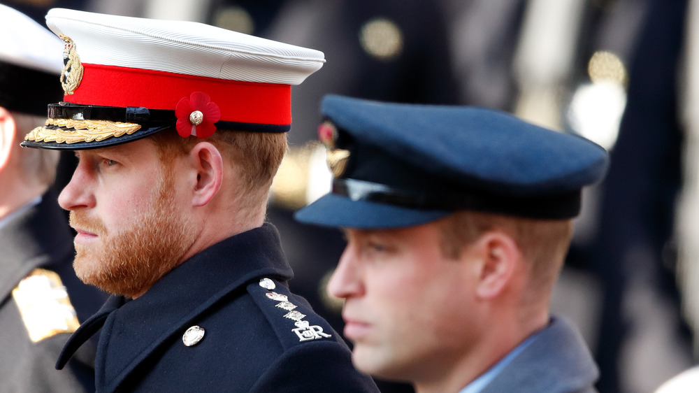 Prince Harry and Prince William in military attire