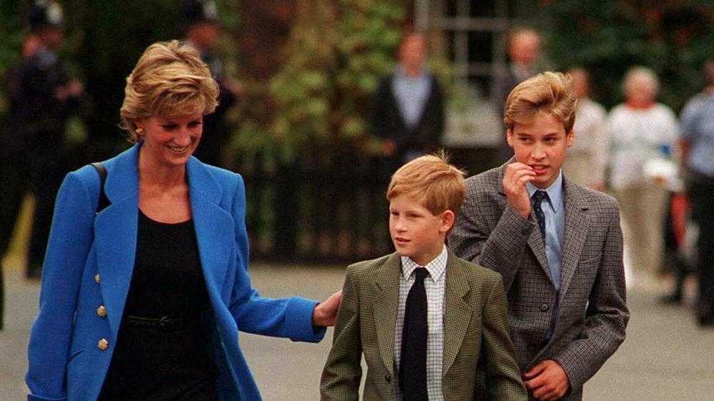 Princess Diana with young princes Harry and William