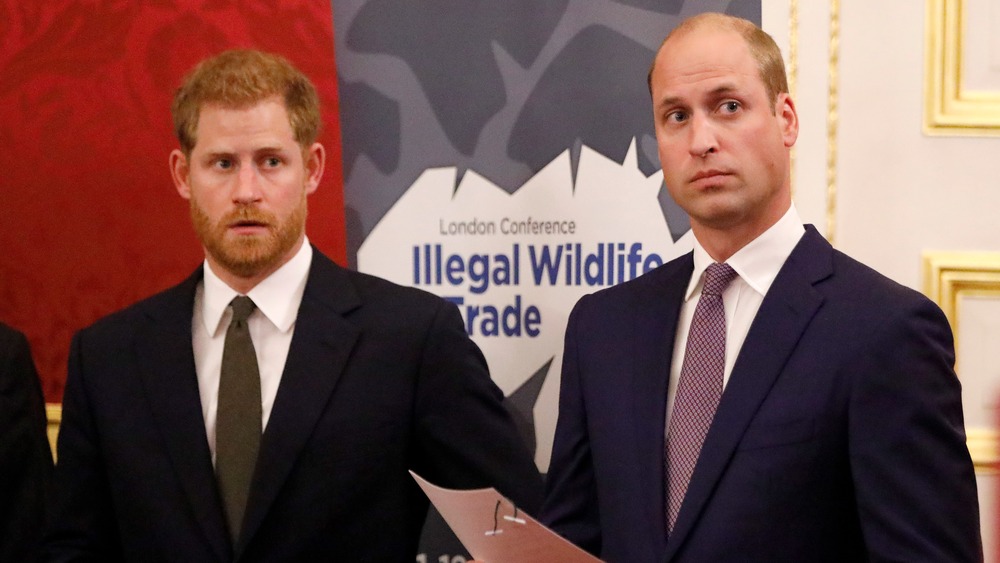 Prince Harry and Prince William at a conference