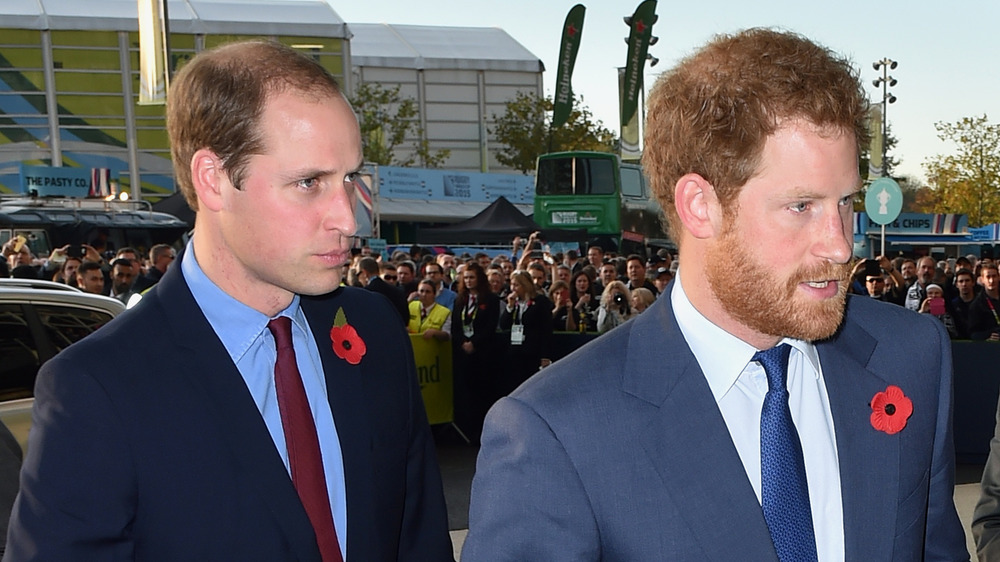 Prince Harry and Prince William looking stern