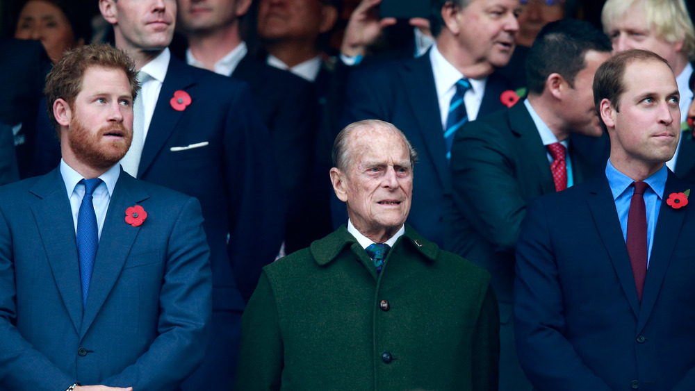 Princes Harry, Philip, and William looking away