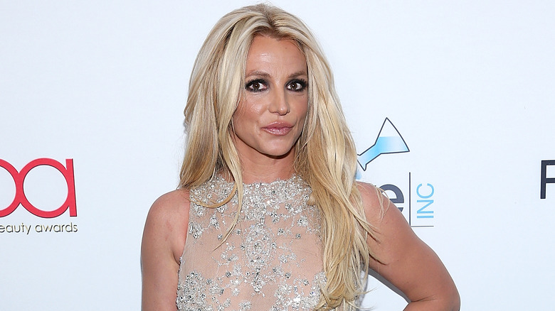 Britney Spears puckering as she poses on red carpet in sheer dress