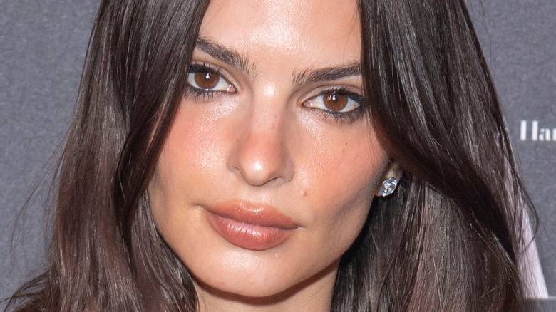 Facts About Emily Ratajkowski That Set Her Apart From The Crowd