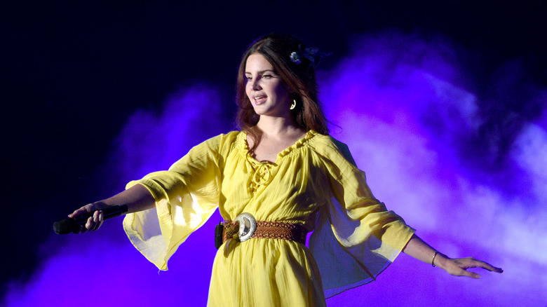 Lana Del Rey onstage