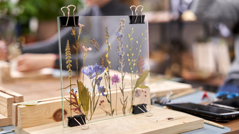 flowers inside a glass frame