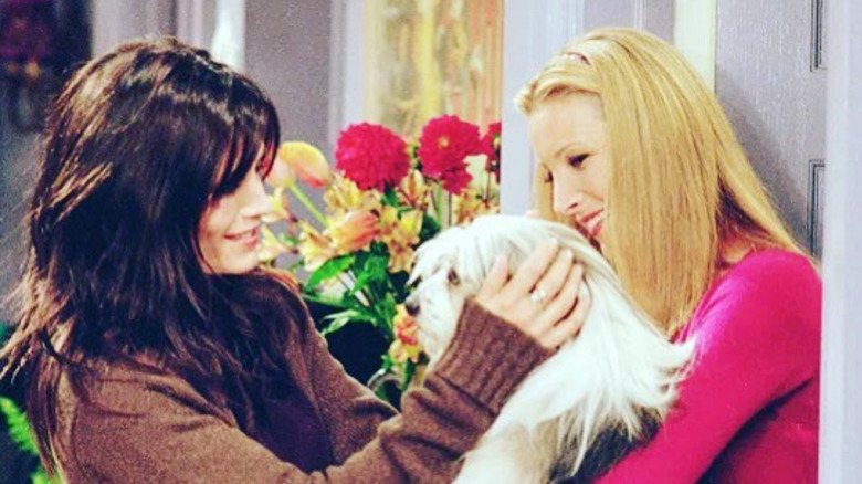 monica and phoebe with a dog in friends