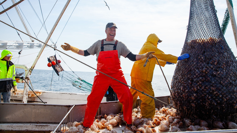 Mike Rowe fishing for jellyfish