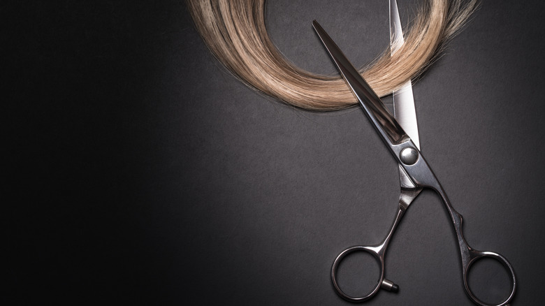 Lock of hair and scissors