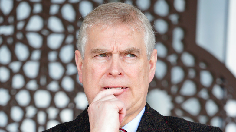 Prince Andrew pondering