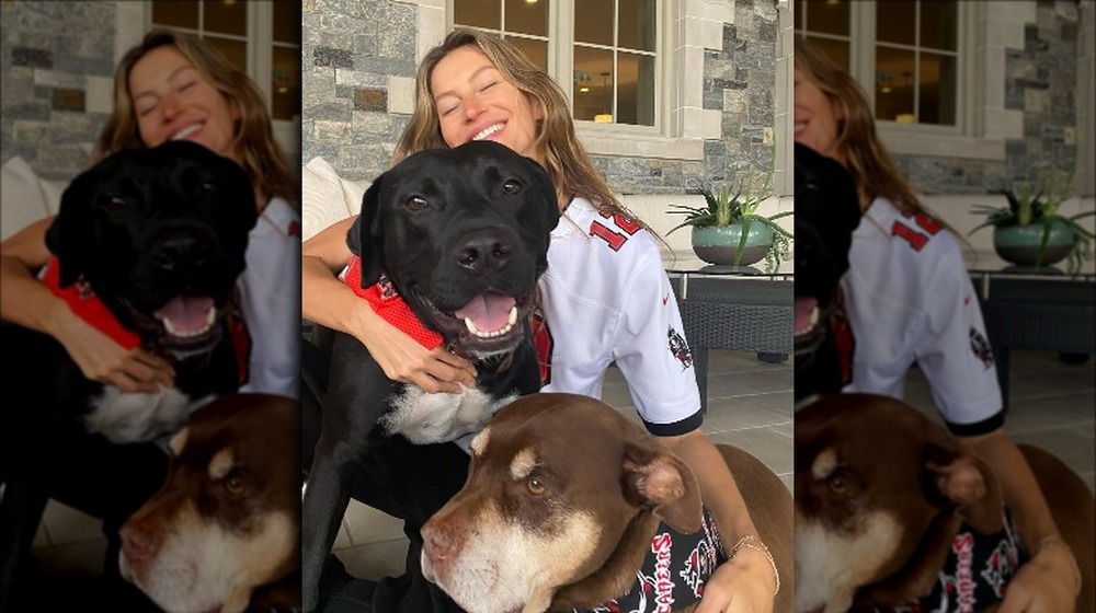 Gisele Bündchen cheers with her dogs