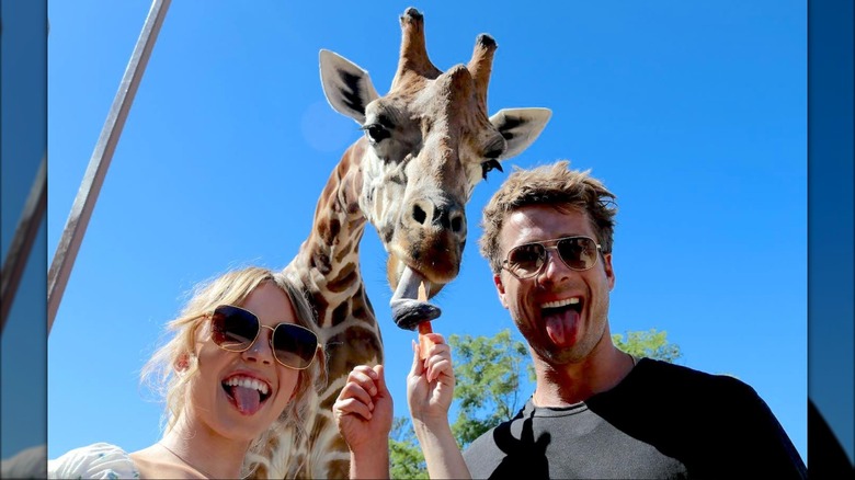 Sydney Sweeney and Glen Powell with giraffe