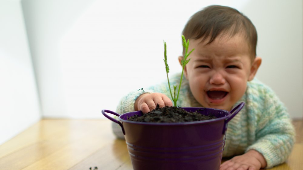 kid eating dirt