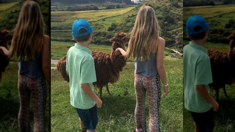 Moses and Apple Martin with an alpaca