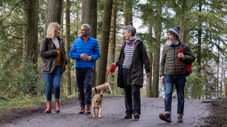 Group walking with a dog