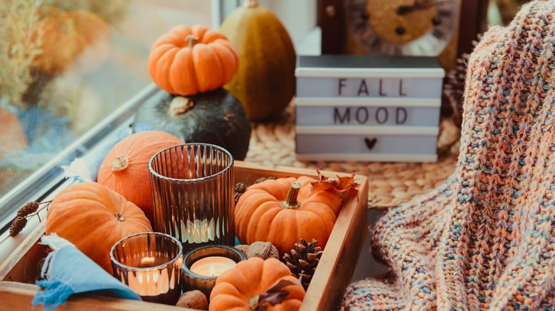 Pumpkins used as fall decor