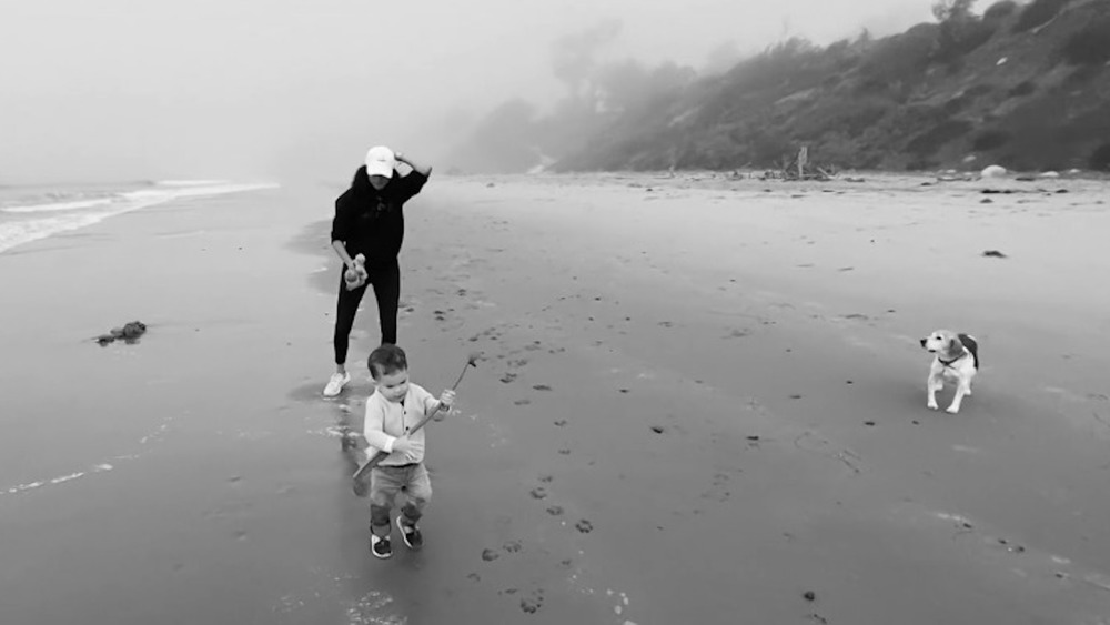 Archie on the beach in California 