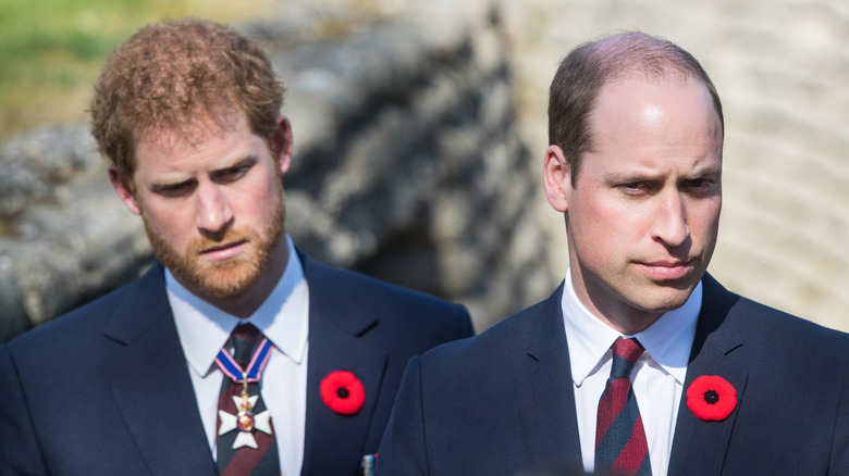 Prince Harry with Prince William