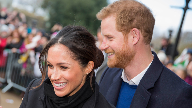 Prince Harry and Meghan Markle meeting a crowd