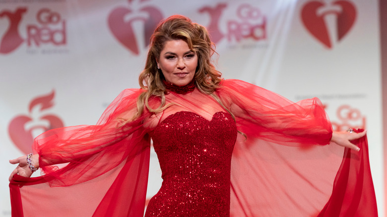 Shania Twain performing live