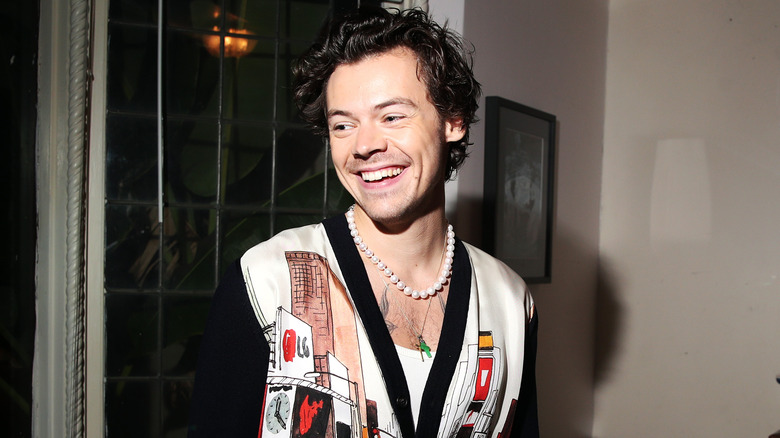 Harry Styles smiles for the camera.