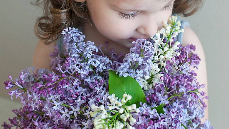 young girl toddler with purple flowers