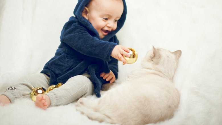 baby toddler with white cat