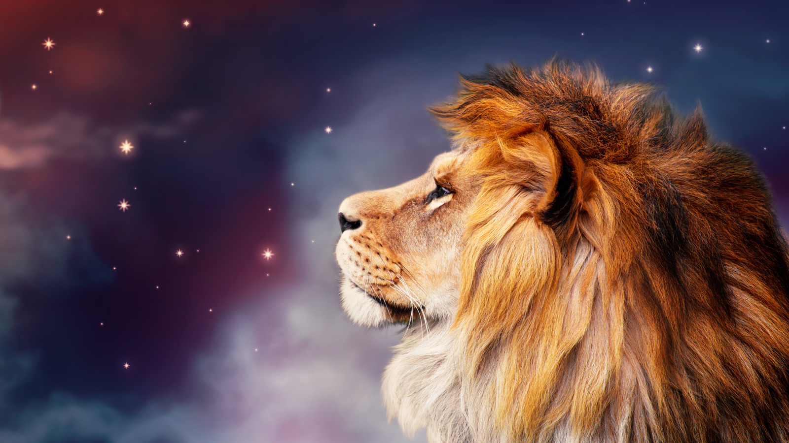 Here's How Being A Leo Could Affect Your Mental Health