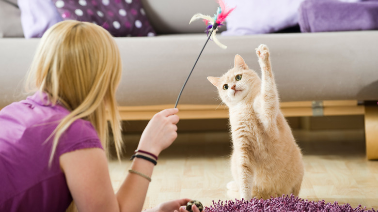 Woman playing with cat and feather toy