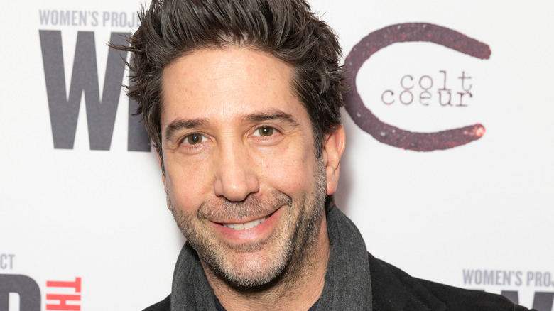 David Schwimmer smiling on red carpet