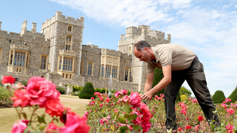 Gardener working at Windsor Castle