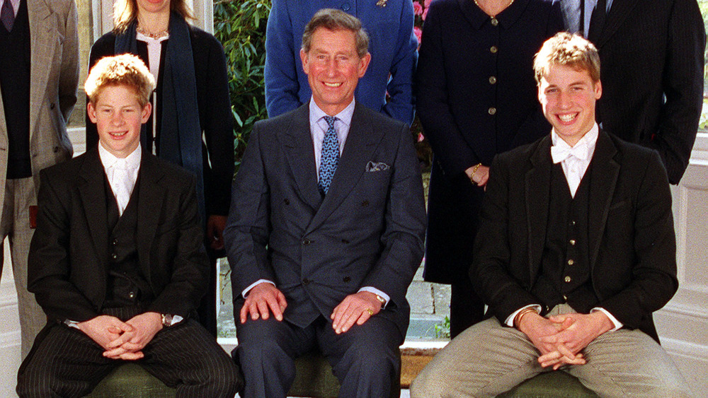 Young Prince Harry, Prince Charles and Prince William