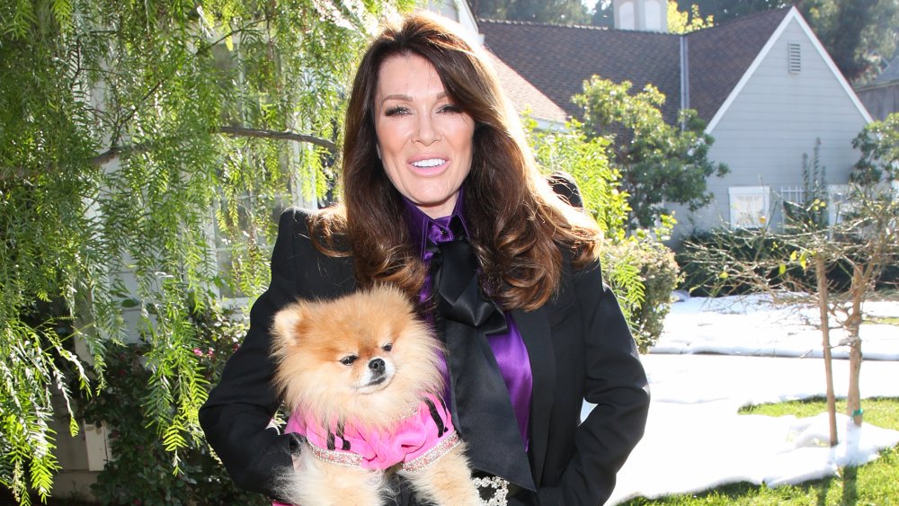 Real Housewives star Lisa Vanderpump