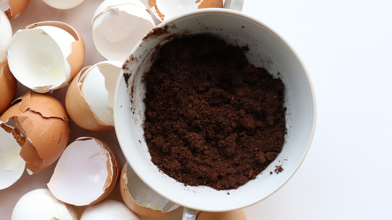 Coffee grounds and egg shells