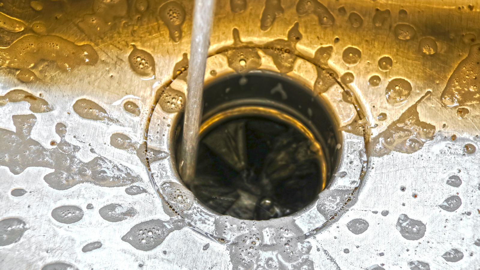 Here's How Often You Should Be Cleaning Your Garbage Disposal