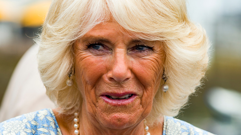 Camilla Parker Bowles smiling 