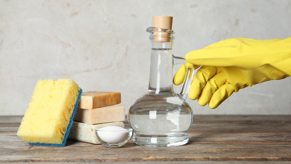 Person cleaning with vinegar